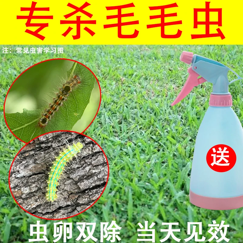 杀毛毛虫杀虫药剂凤蝶幼虫菜蛾青虫刺蛾洋辣子蚜虫害虫专用杀虫药