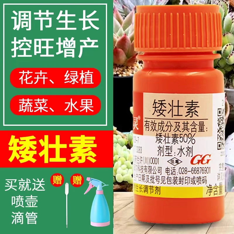 矮壮素花卉壮矮素多肉专用矮胖素植物矮壮剂矮化剂花木百合控旺长