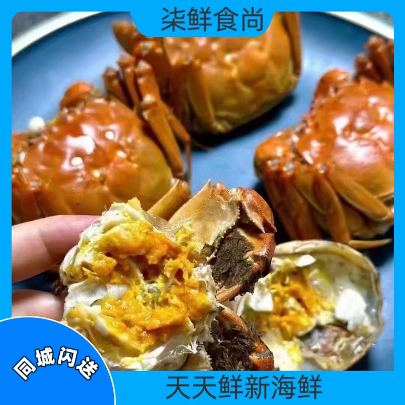 江苏太湖大闸蟹2两母蟹2.5两公蟹（4-10只可选）精品