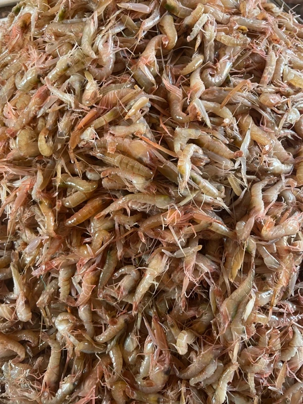 花腰子 冷冻现称花腰虾 顺丰 《小虾介意大小别拍》