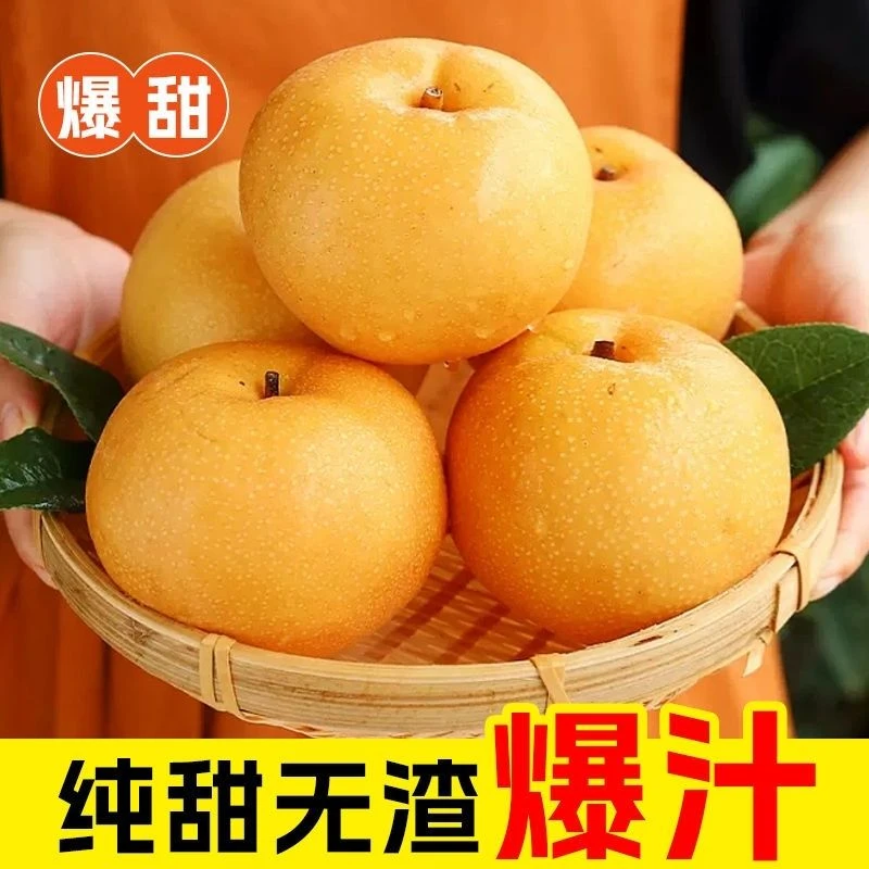 【特大果】正宗莱阳秋月梨350g~450g脆甜多汁&皮薄肉厚&现采现发