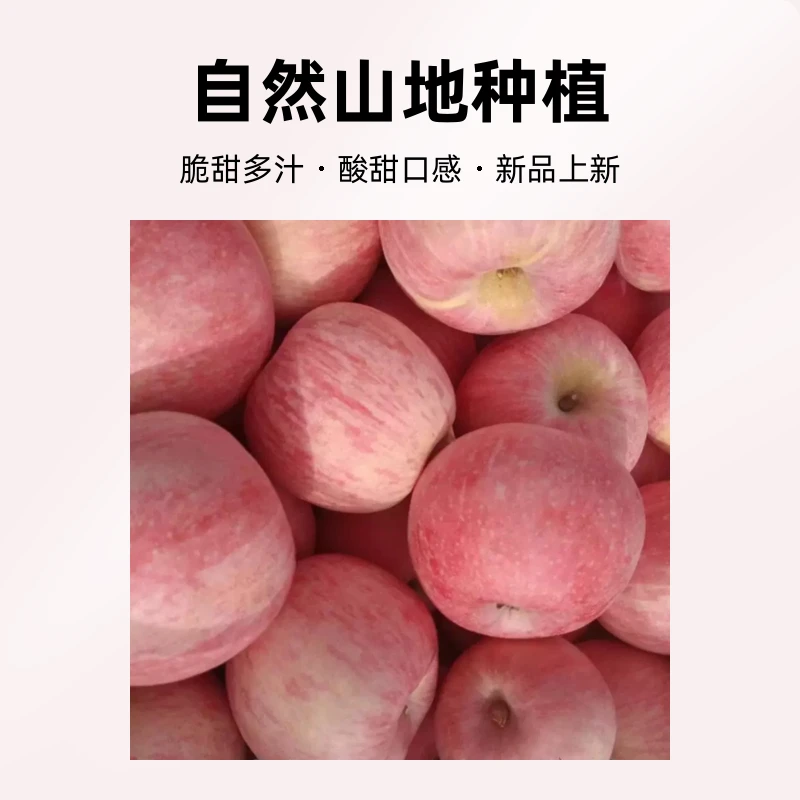 北镇史家沟村山沟红富士苹果新鲜水果脆甜多汁自然山地水果仓