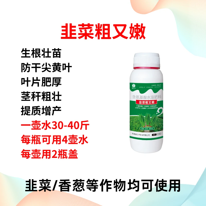 韭菜粗又嫩直立挺拔素韭菜专用肥叶片肥厚直立硬朗挺拔农资氨基酸