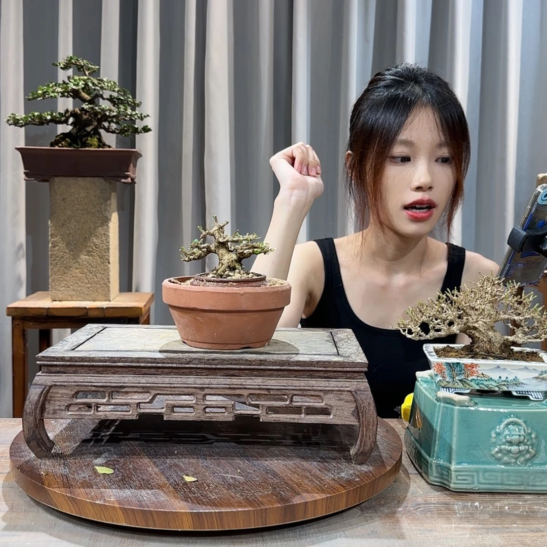 【闪购商品】红陶20CM（含）-50CM（不含）九*八