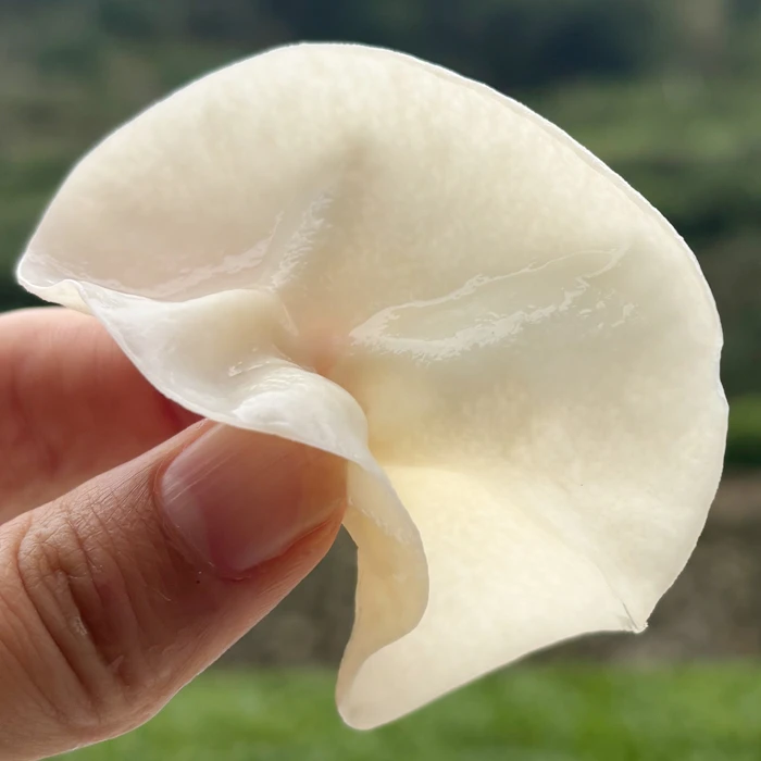 源山山货高山 农家 白玉 木耳