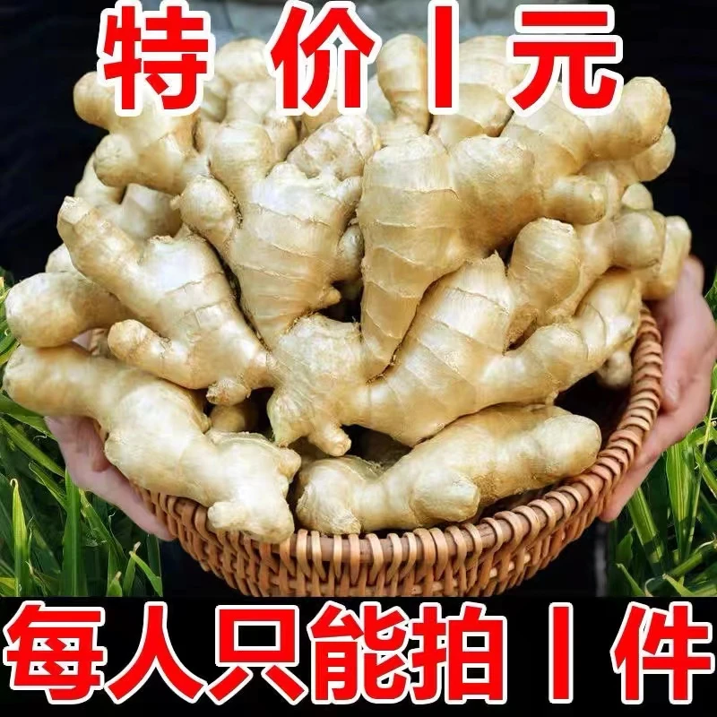 【半价促销】精品大姜大黄姜生姜小黄姜老姜月子姜养生新鲜黄姜嫩