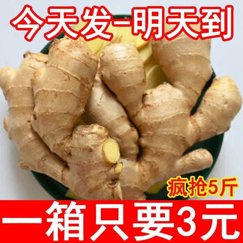 大姜鲜生姜老姜黄姜无残留新鲜当年现挖姜母月子姜出口级三斤包邮