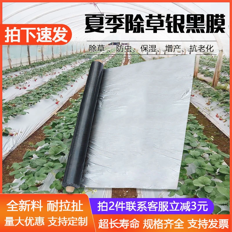 银黑双色地膜农用加厚防草虫保温湿覆盖养护塑料大棚种植全新薄膜