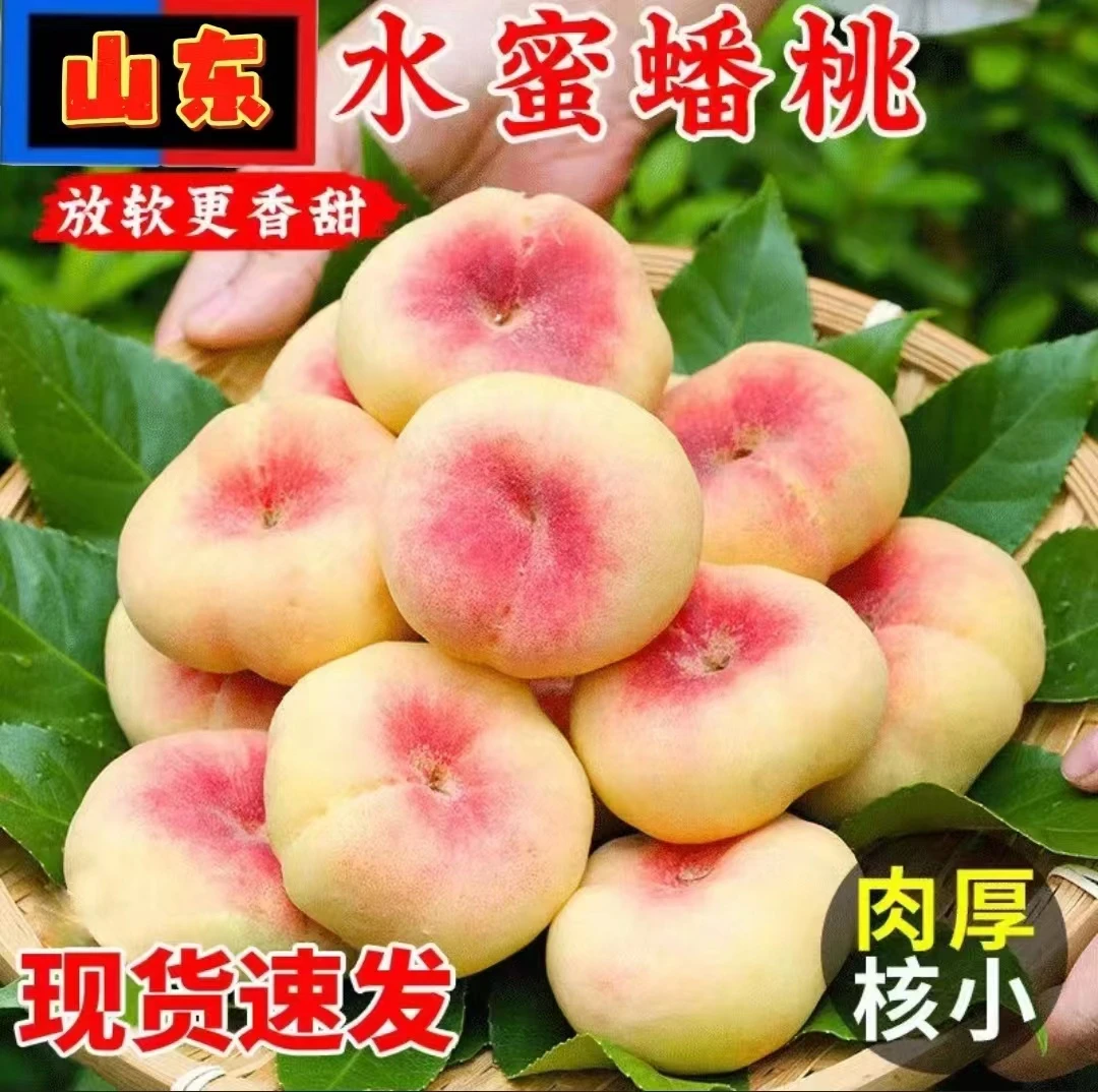 1【现摘现发】新鲜毛蟠桃纽扣蟠桃水蜜当季现摘现发产地直发水果s