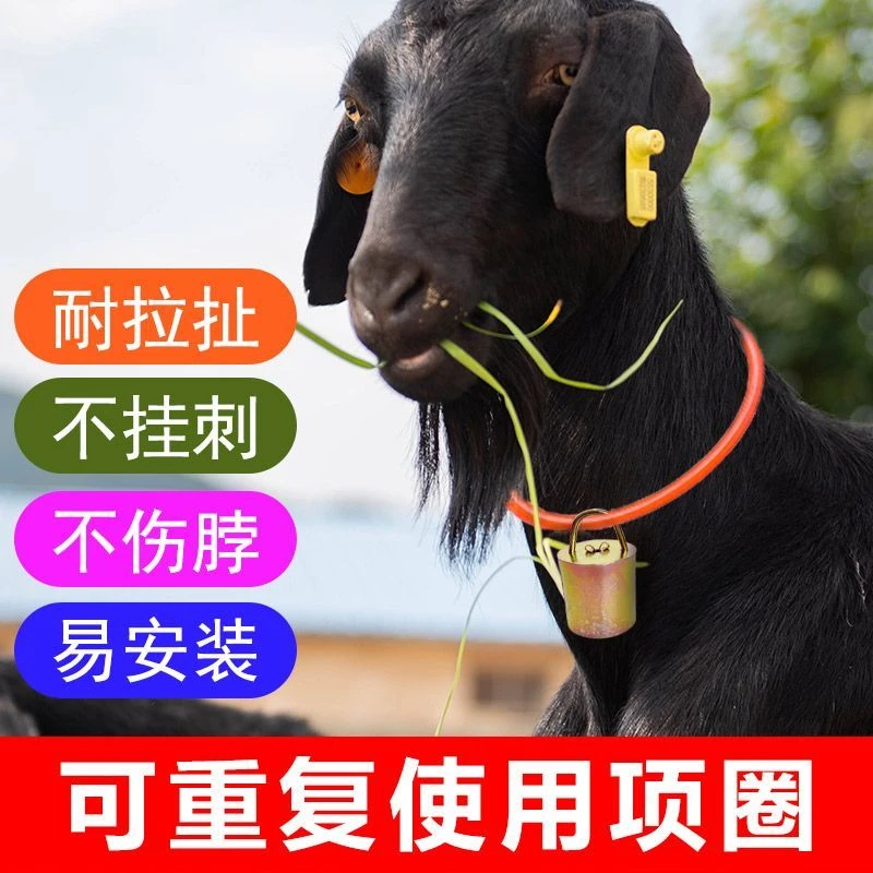 羊项圈羊脖套羊耳标羊铃铛放山羊项圈铃铛养殖使用自制