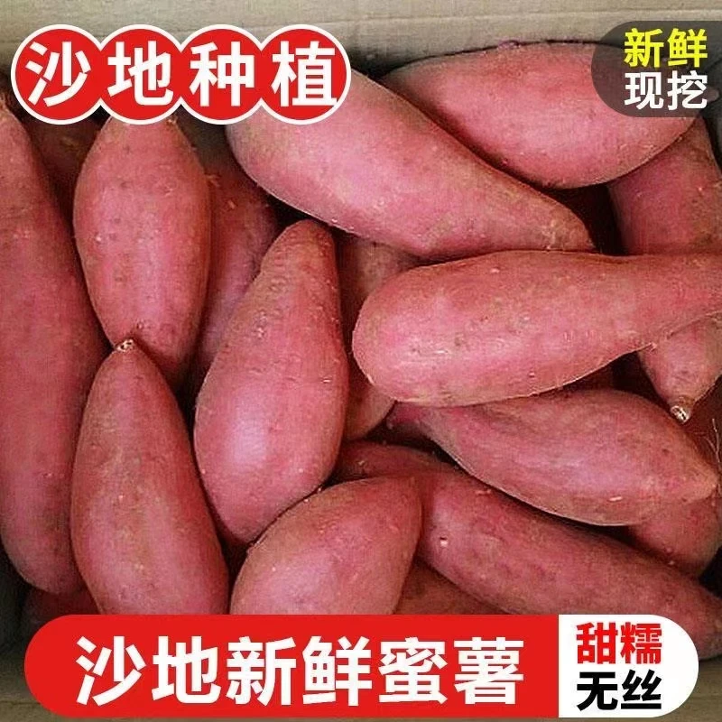 巴马长寿乡红心蜜薯】9斤香甜软糯沙地糖心番薯地瓜农家皮薄肉厚WH