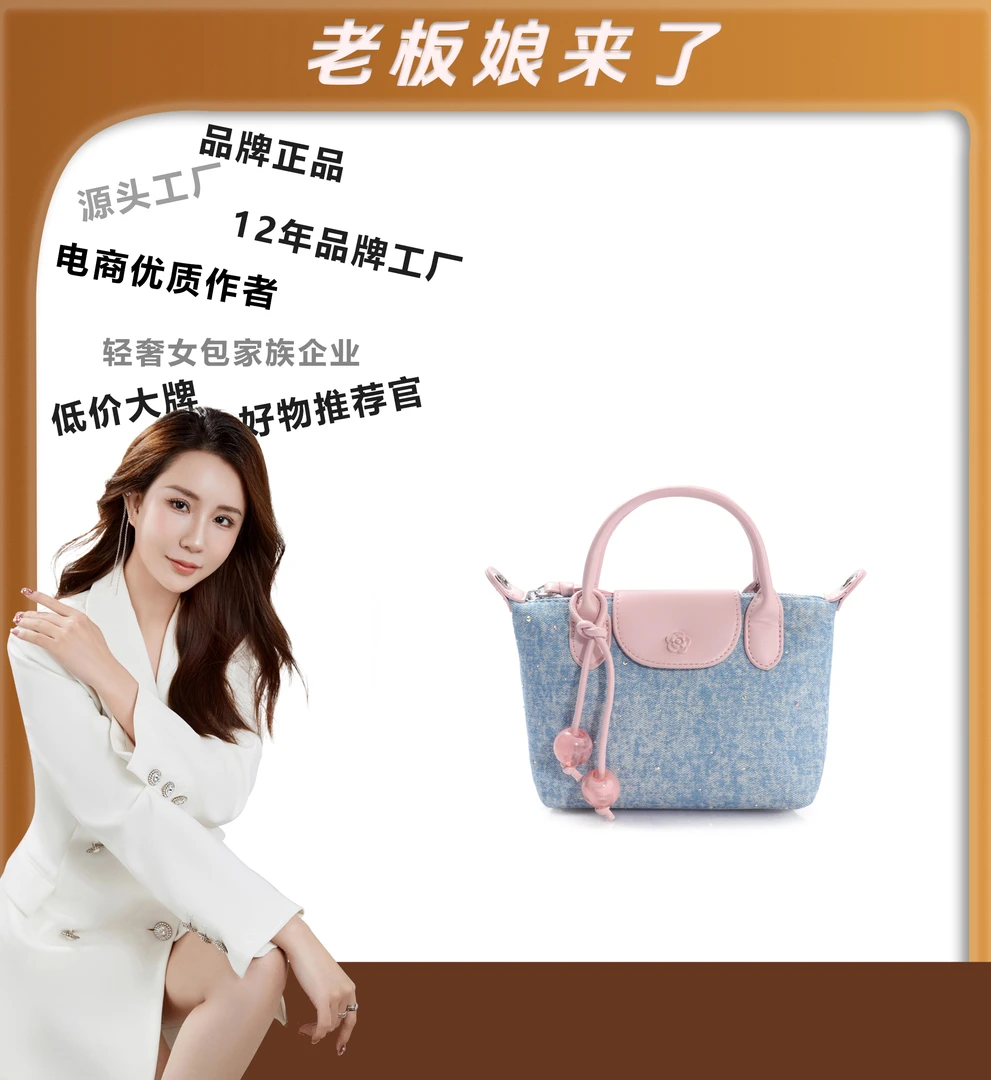 2024年包包经典时尚百搭休闲JY582-拼色女士小众潮流