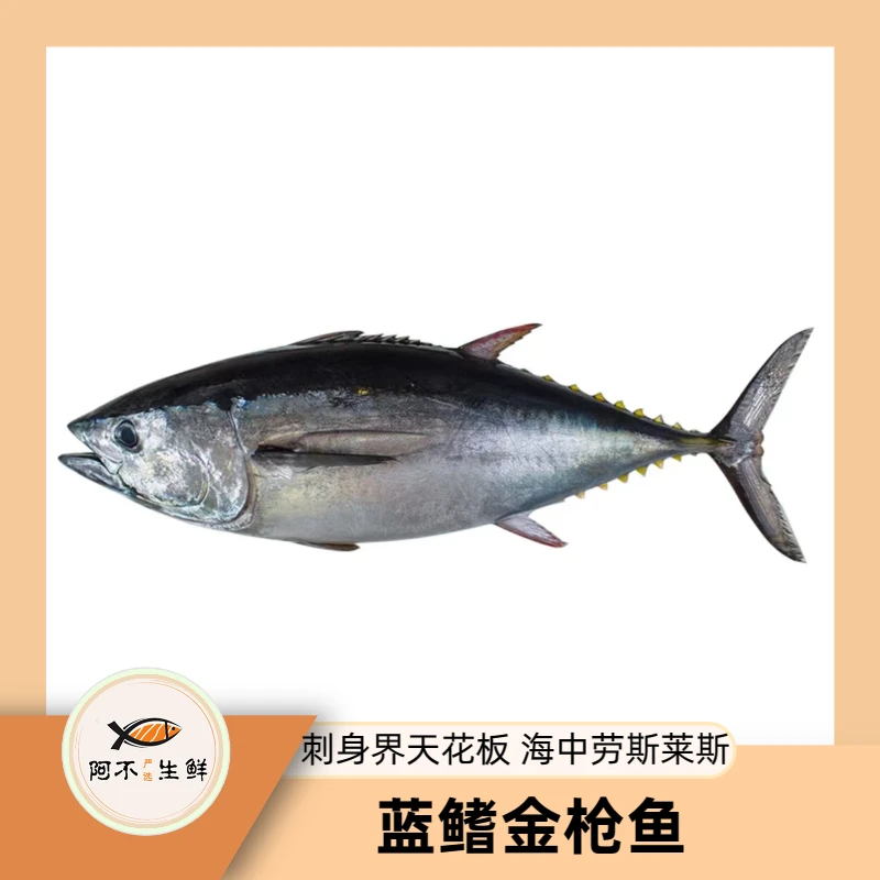 【西班牙蓝鳍金枪鱼1】冰鲜发货满口爆汁