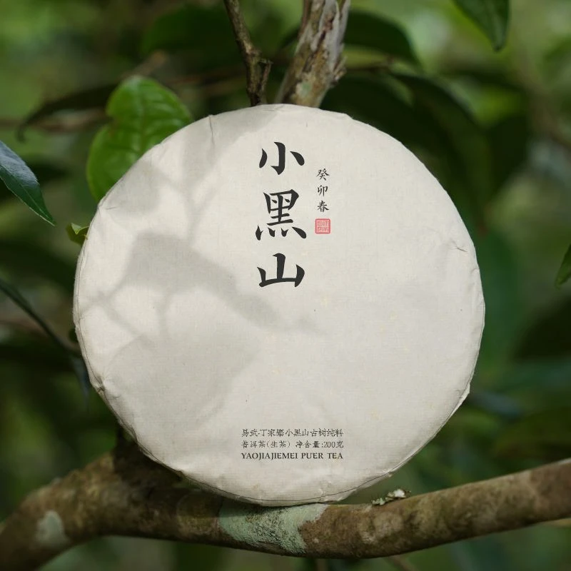 2023年 小黑山古树纯料 头春头采 普洱生茶 200克饼 拍5发6
