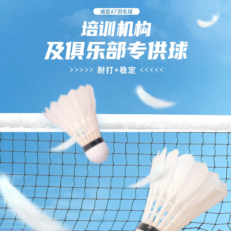 威臣A7羽毛球不降速训练球俱乐部入门必选羽毛球品质飞行稳定耐打