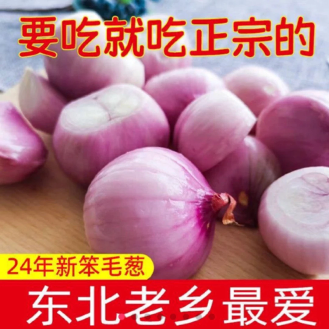 东北特产小园笨毛葱 精选正宗东北毛葱 四六瓣,脆辣够味5斤包邮