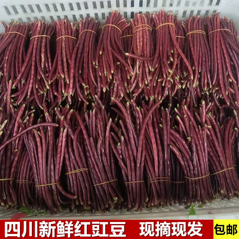 四川新鲜红豇豆现摘红豆角白露江豆老品种紫色豇豆蔬菜2/3/5斤