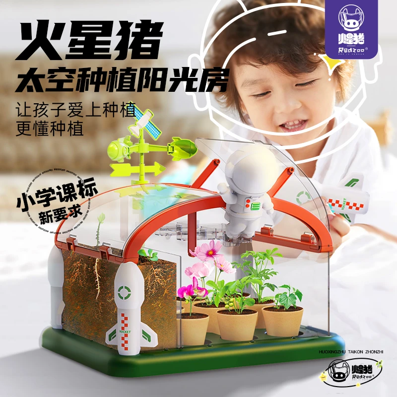 火星猪阳光房种植儿童玩具盆栽植物种植小盆栽盆栽玩具种植蔬菜