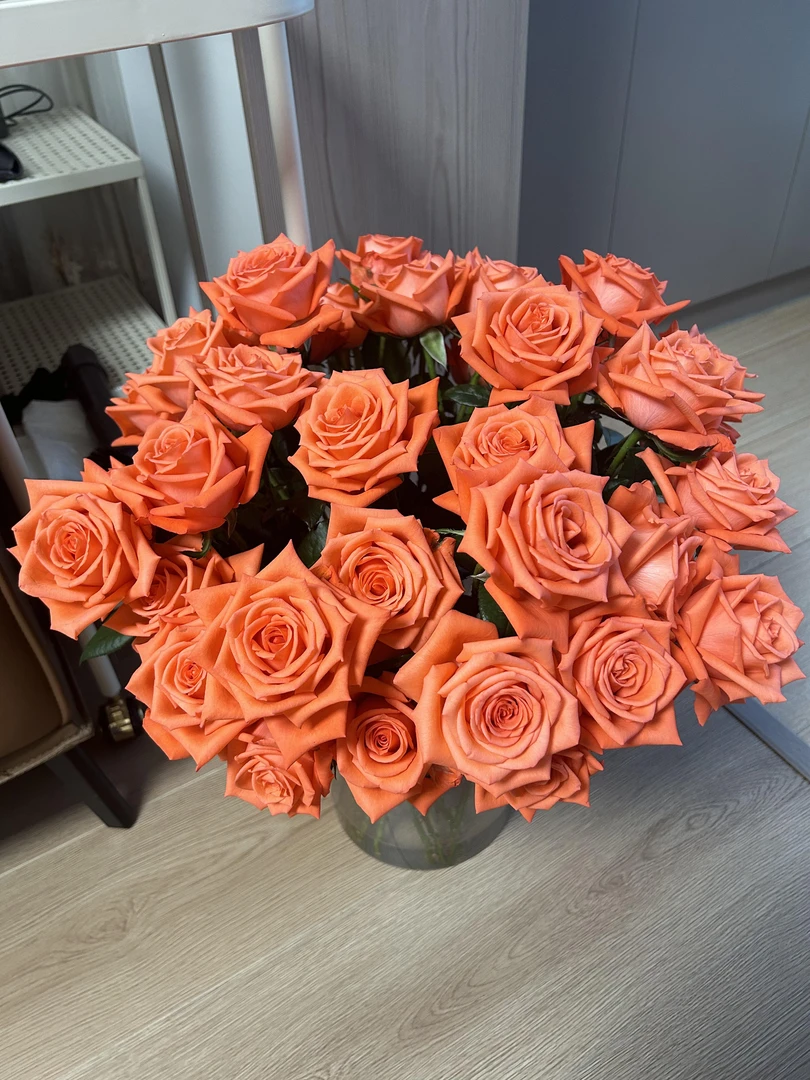 影星 玫瑰 鲜花需醒花 云南基地直发 揽收无法仅退款