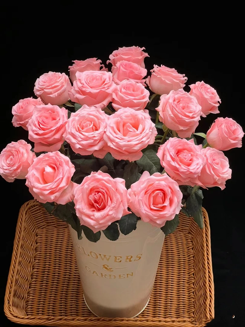 戴安娜玫瑰  鲜花需醒花 云南基地直发 揽收无法仅退款