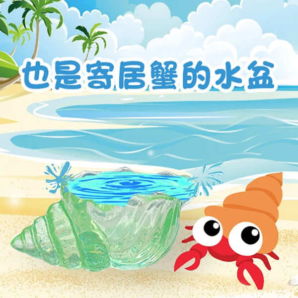 纯手工水晶树脂寄居蟹水盆食盆泡澡盆爬宠饲养水盆食盆方便卫生