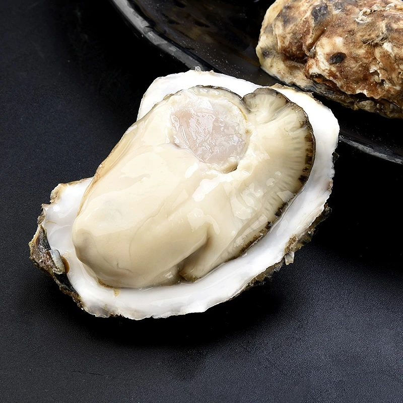 乳山生蚝鲜活牡蛎免洗即食5斤生蚝冷链直发包邮新鲜鲜嫩美味