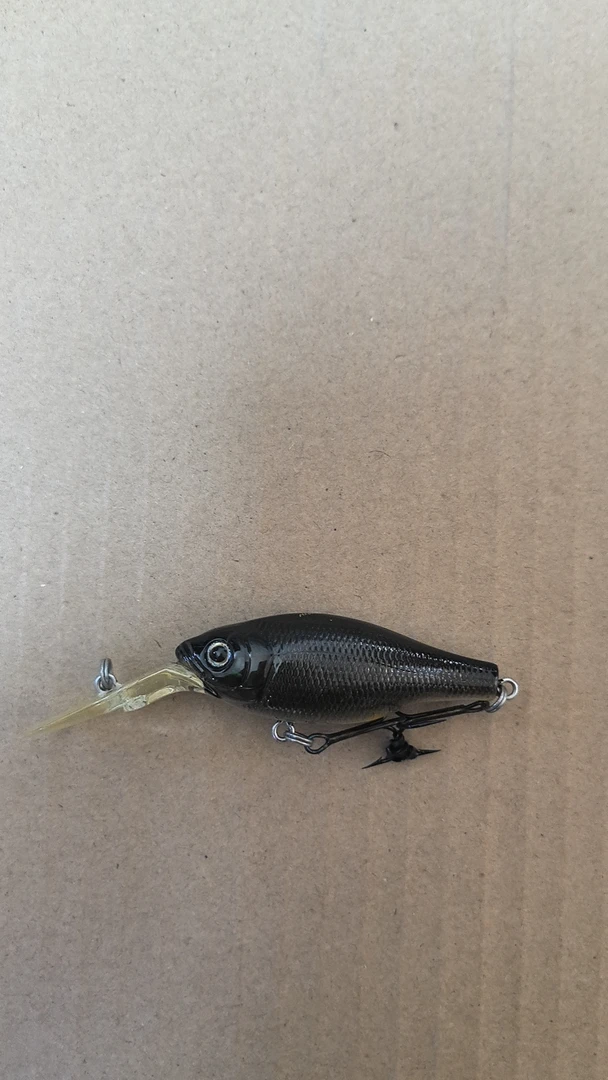 YD240730-2       路亚饵