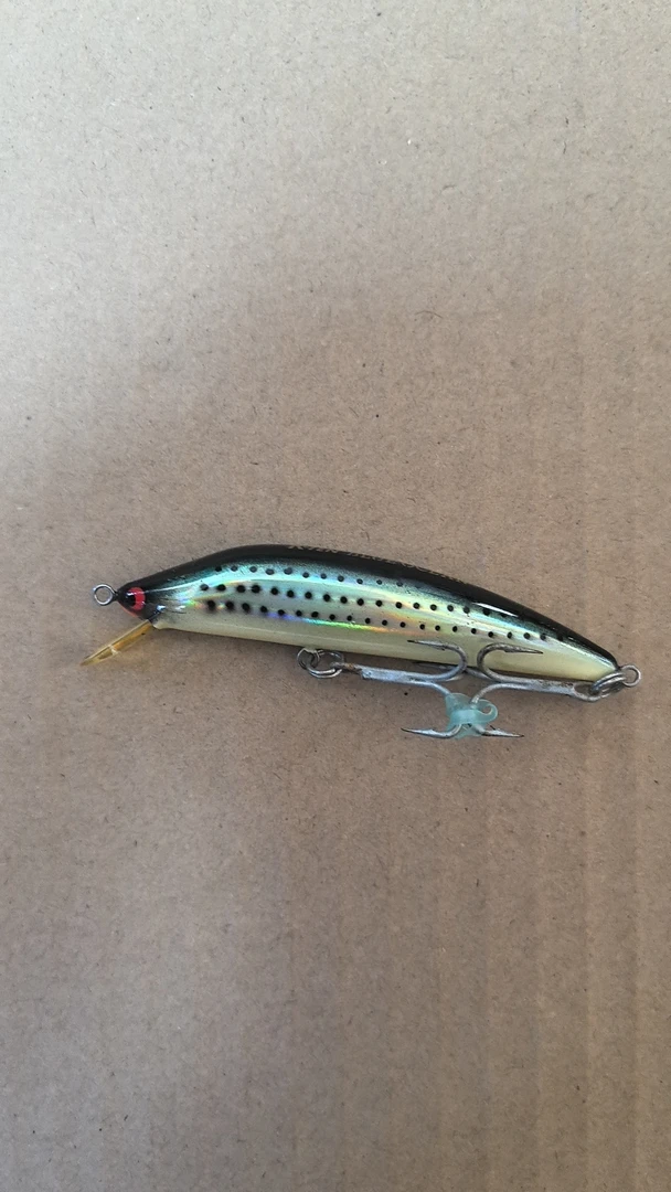 YD240730-34       路亚饵