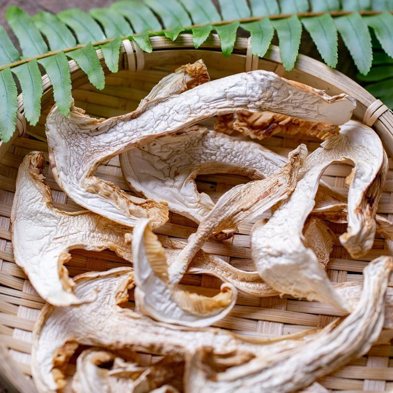 云南现收土特产山货雪山松茸白松茸