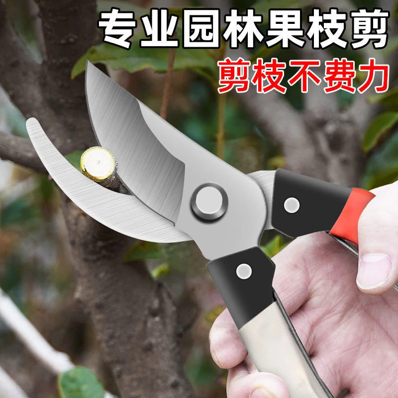 剪枝果树修枝剪刀园艺修剪树枝园林省力修花枝剪家用剪子摘果神器