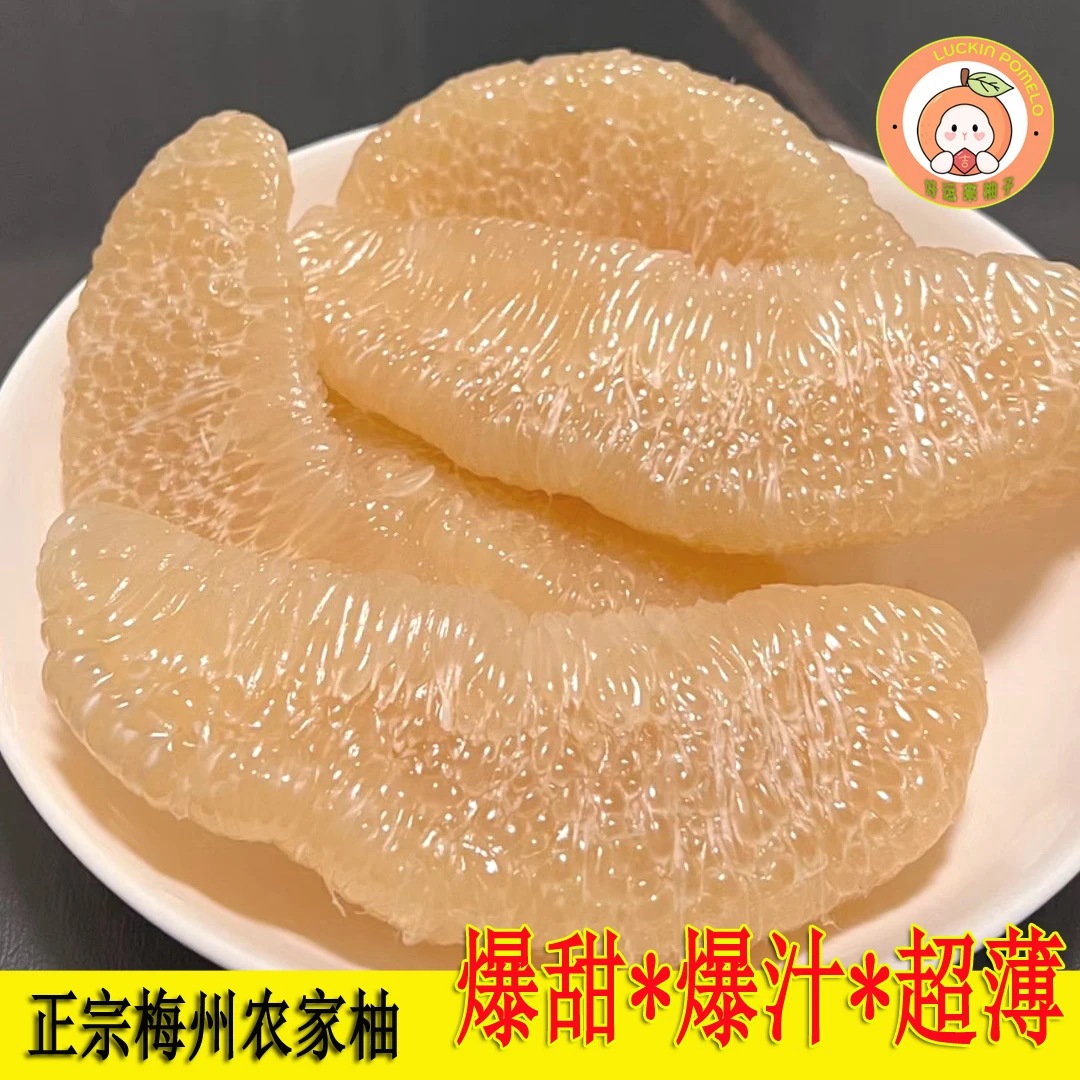 大埔蜜柚梅州白柚皮薄多汁梅州特产白肉柚子新鲜水果顺丰包邮现摘