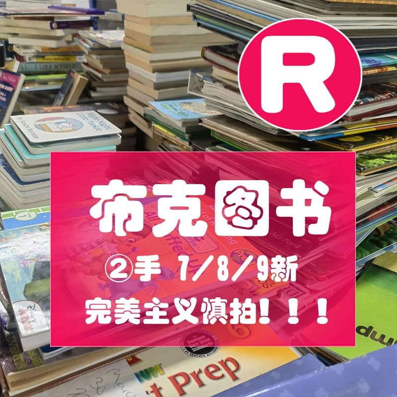 R布克图书2/手/瑕/疵书原版进口图书儿童绘本章节桥梁科普书