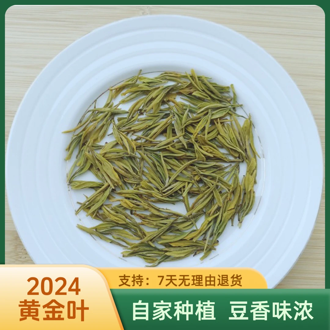 古尖香牌舒城小兰花（2024年新茶黄金叶299）绿茶自家种植正宗产地