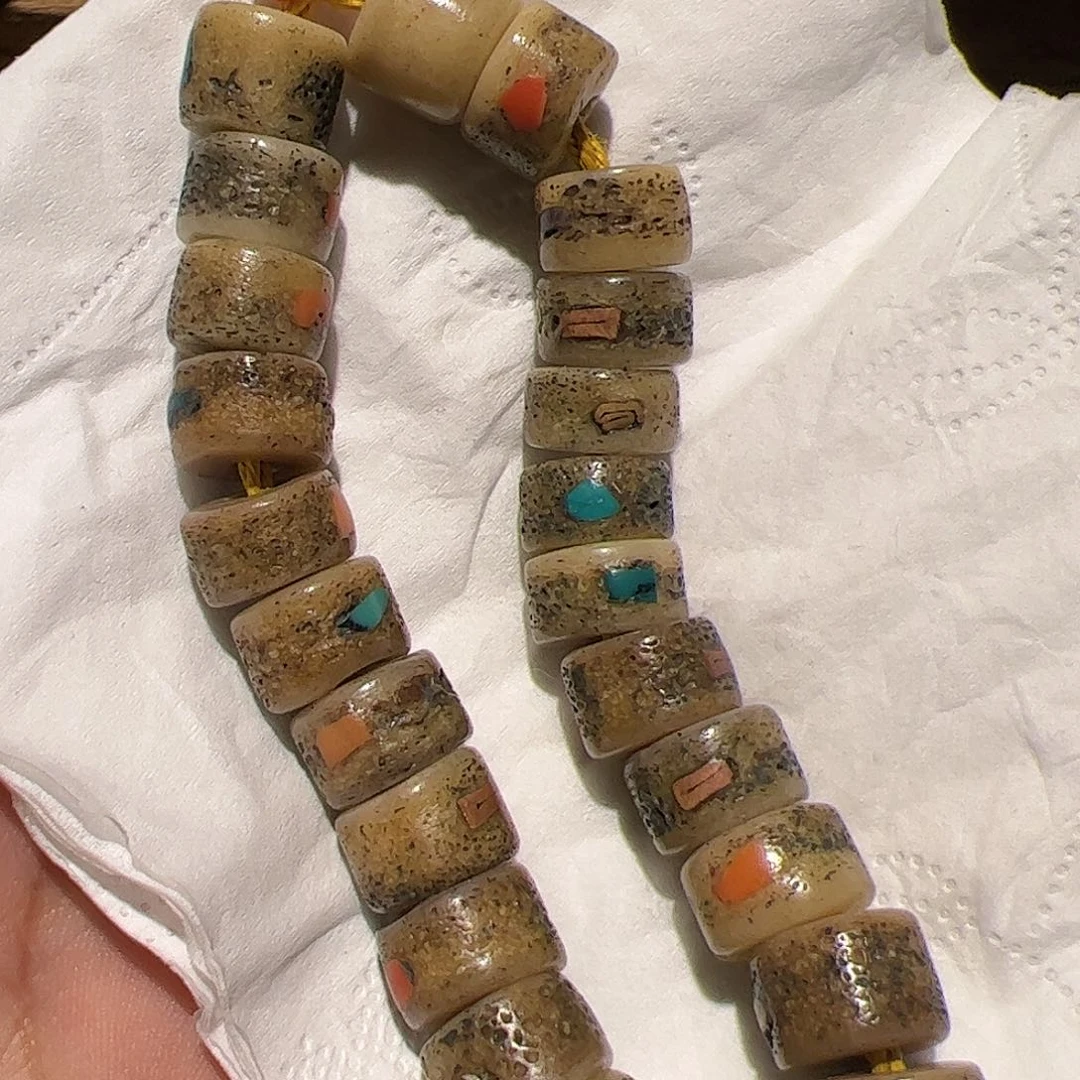 贝壳杉这样我会一直