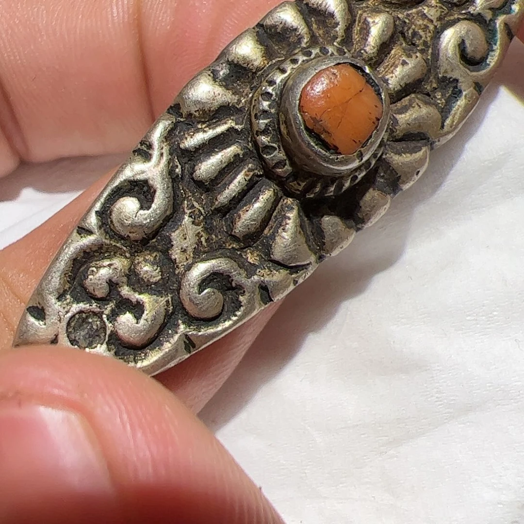 贝壳杉在一起就会很