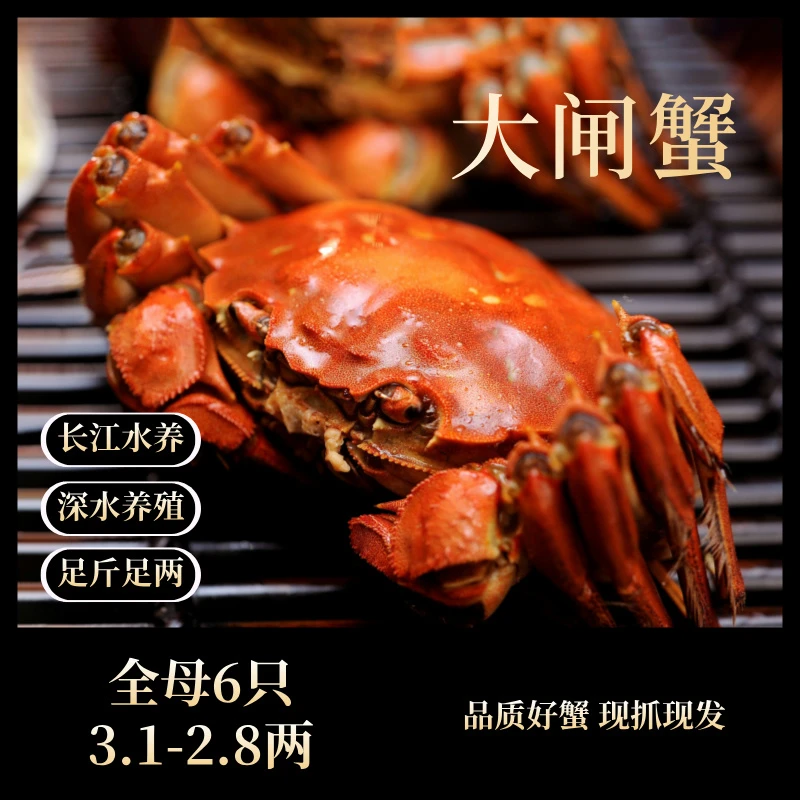 【活蟹】正宗全母3.1-2.8两6只苏州精品大闸蟹长江水养包活包重
