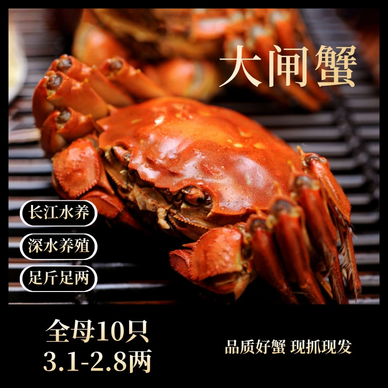 【活蟹】正宗全母3.1-2.8两10只苏州精品大闸蟹长江水养包活包重
