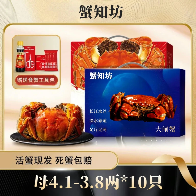 【活蟹】正宗全母4.1-3.8两8只送2只苏州人工精挑大闸蟹包活包重