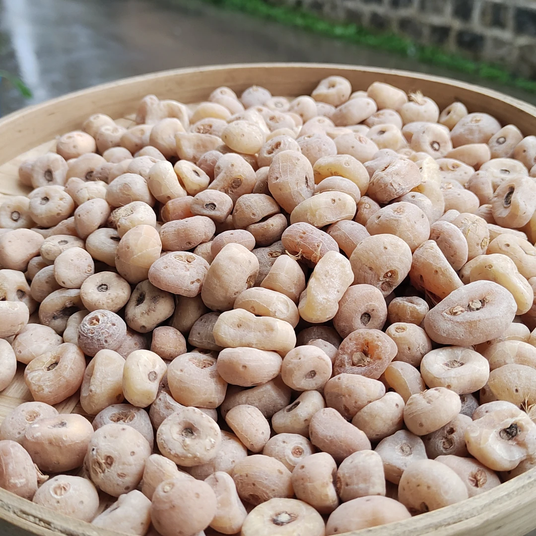 【雨、荒、单】云南山货非莲子