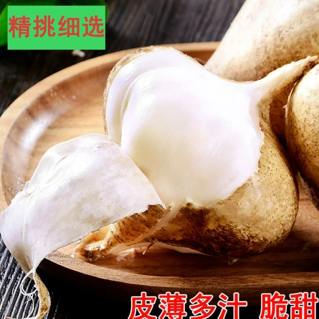【贵州品种】极兔发货凉薯萝卜沙葛皮薄土瓜现挖现发应季水果3/5/8