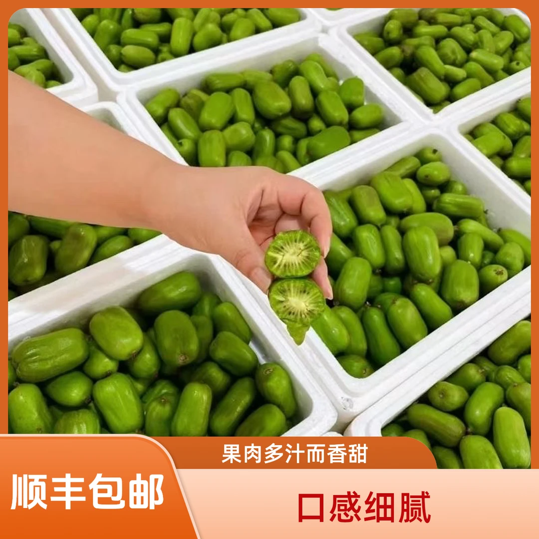 【顺丰快递】丹东软枣食用新鲜水果奇异莓狗枣子新鲜水果甘甜礼盒