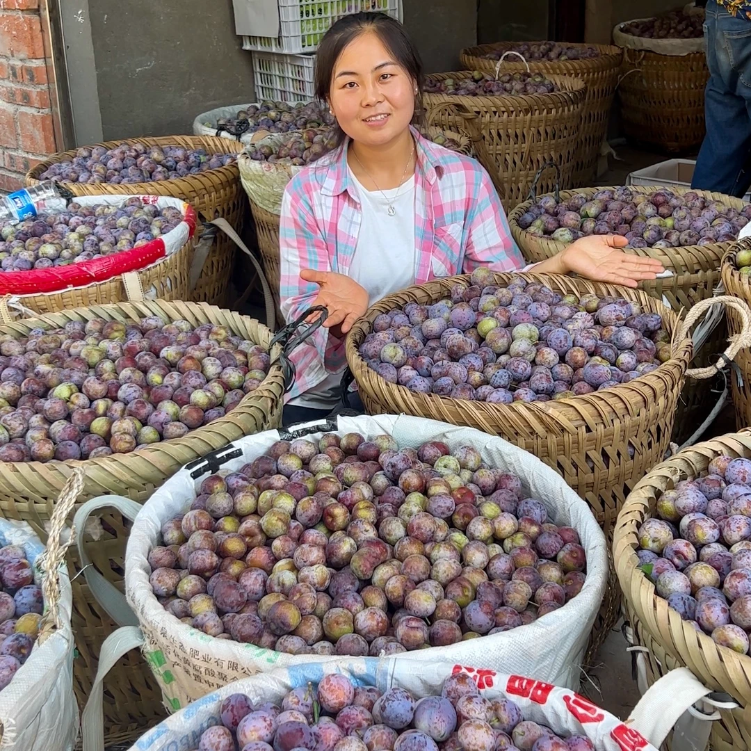 【航空运输】兰兰家乡宣汉5斤脆红李家庭装脆甜爽口多汁