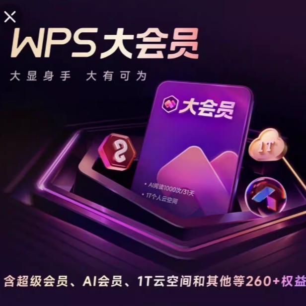 WPS超级大会员卡PRO月卡卡含WPS超级会员 AI功能 30天卡