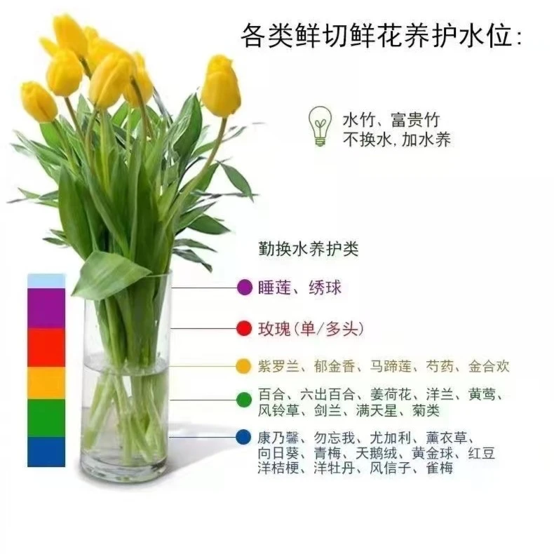 鲜切花升级空运运费下单链接