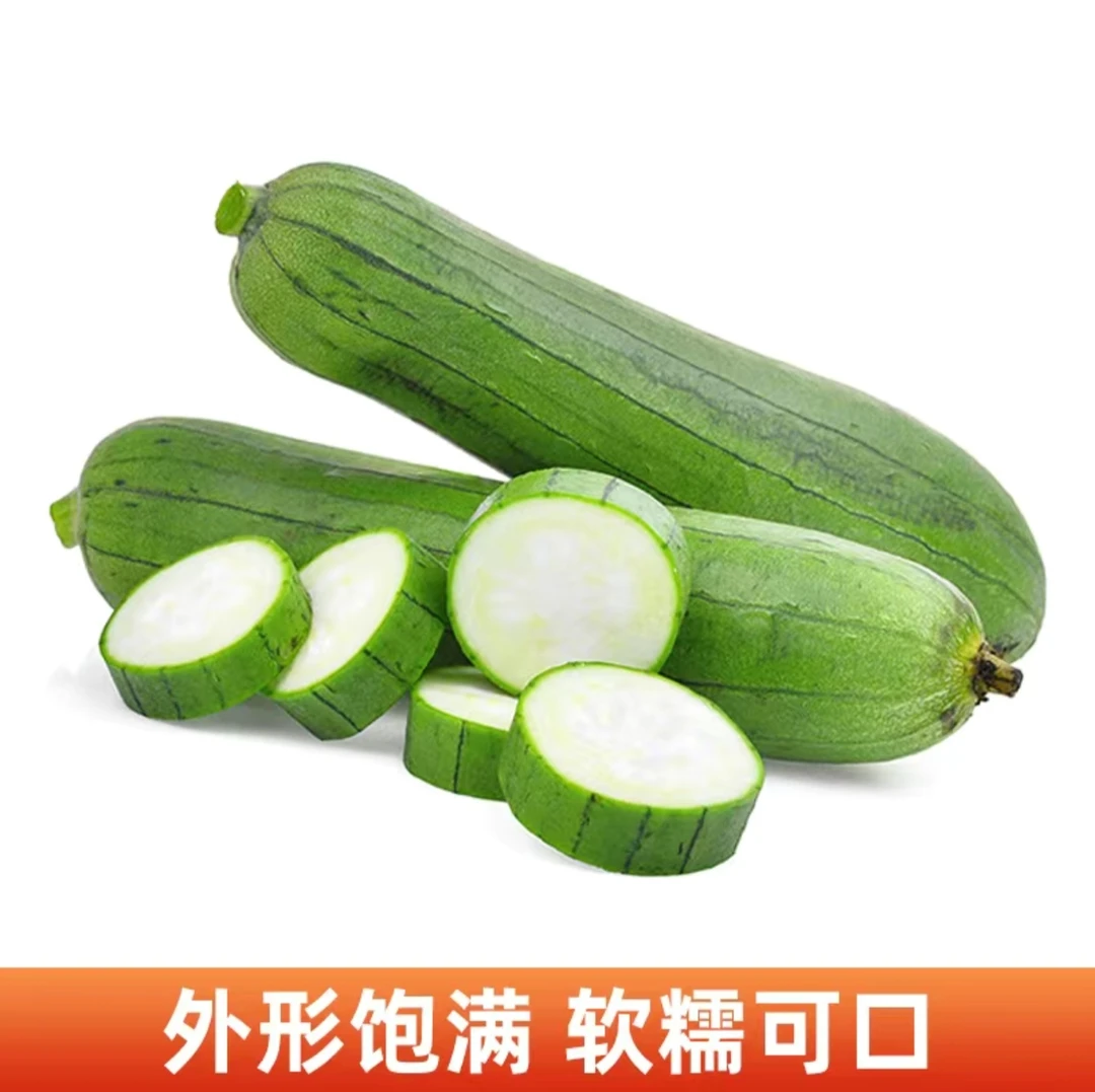 【猴瘦瘦农场】小猴家丝瓜三斤