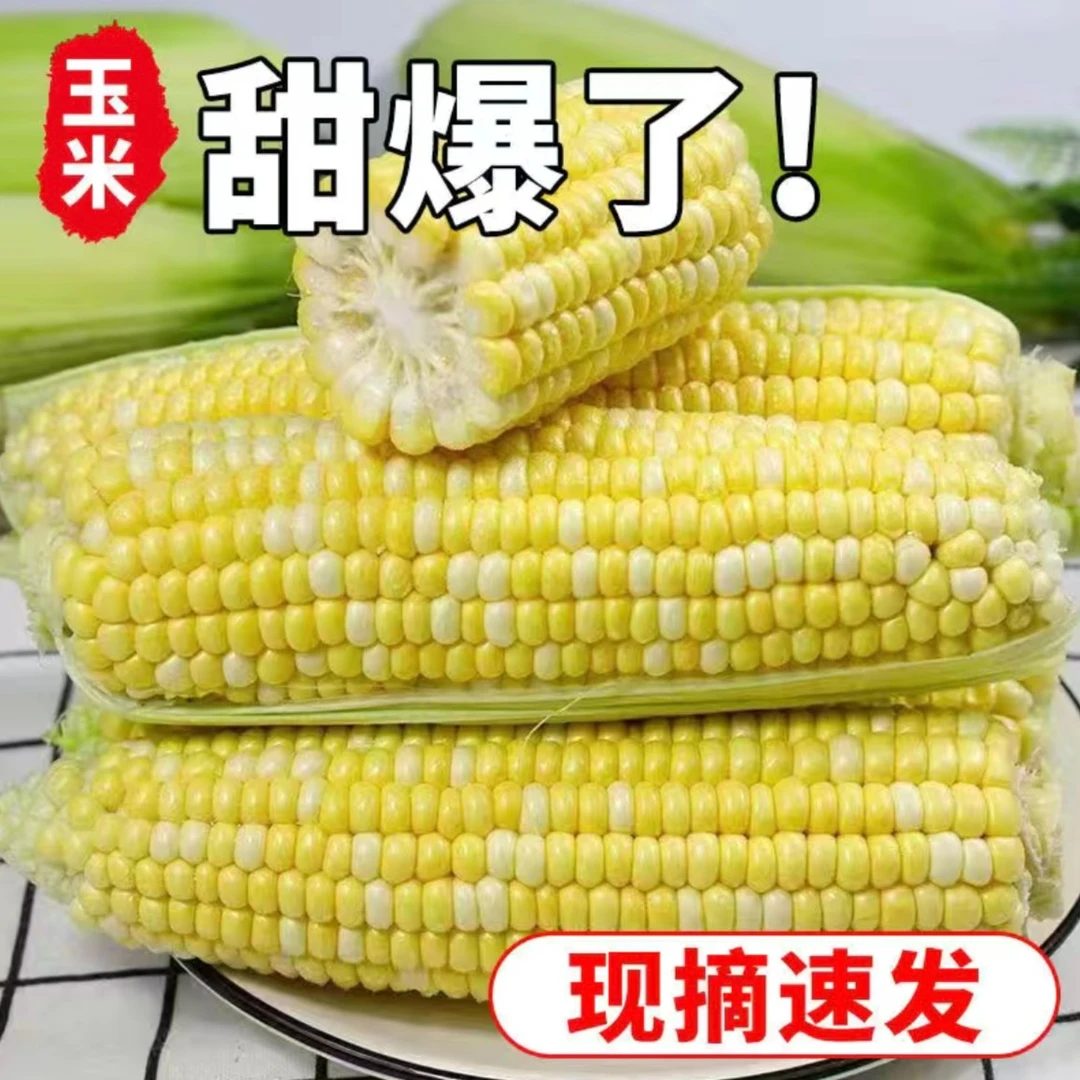 【猴瘦瘦农场】现摘现发甜玉米5斤装或8斤装