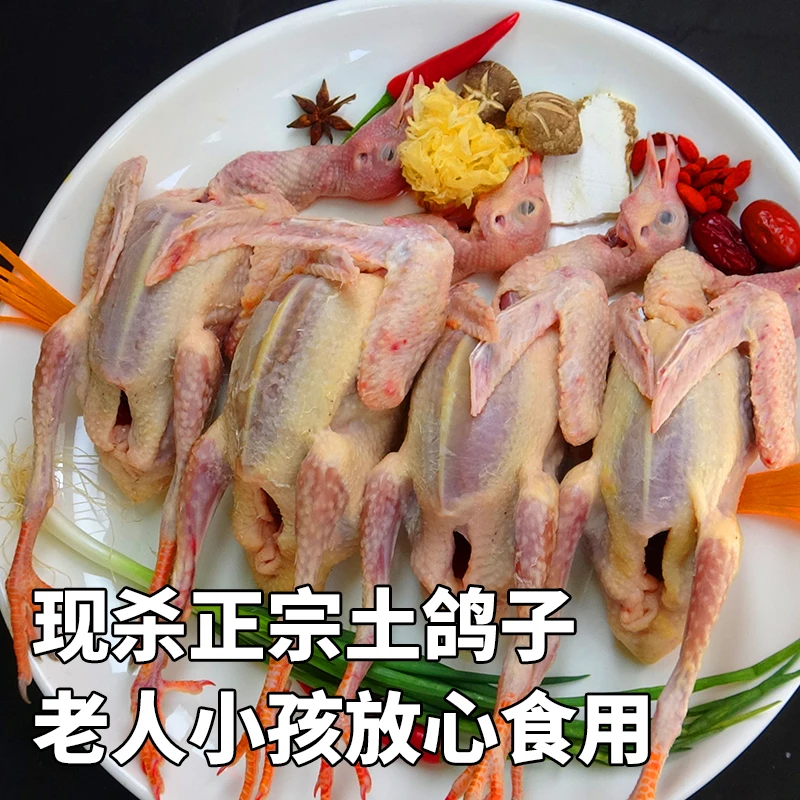 五谷散养3只5只精品飞天鸽7--8两农家散养土鸽子现杀顺丰温控包邮