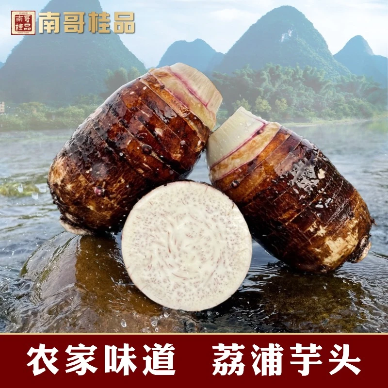 广西新鲜荔浦芋头紫藤芋槟榔芋包邮农家蔬菜细腻饱满产地直发