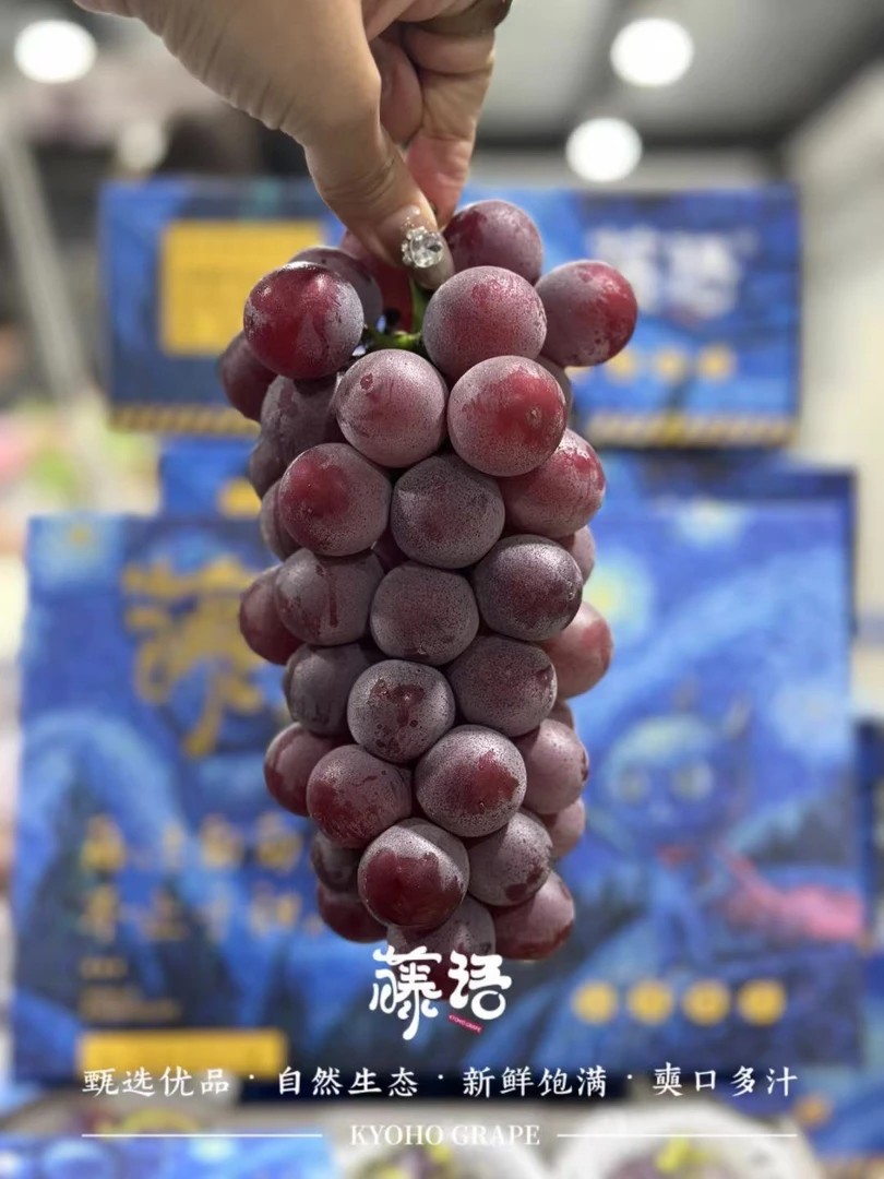 腾语巨峰葡萄1串1斤