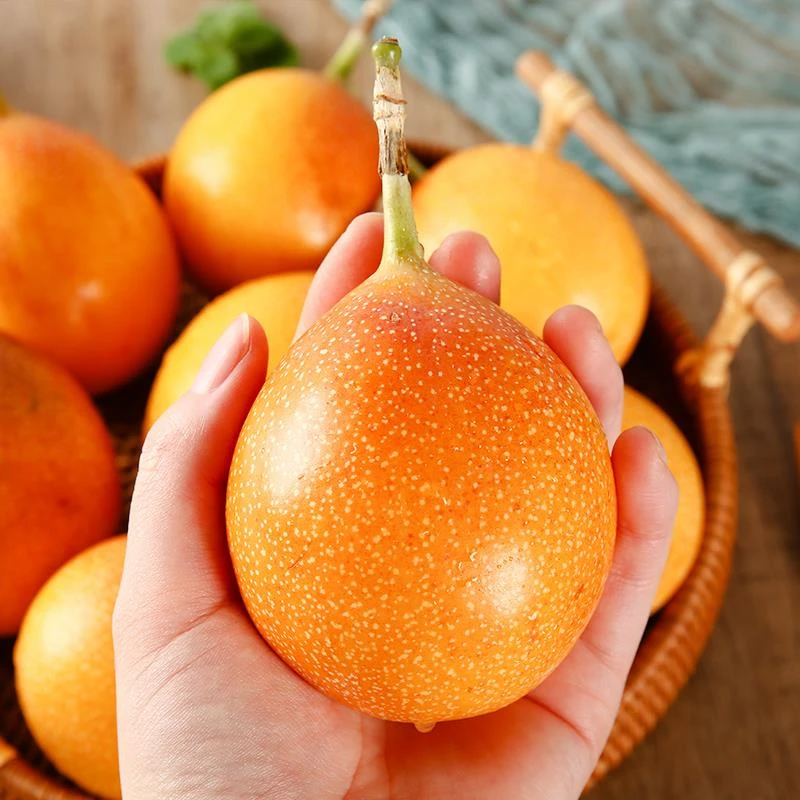 云南热情果西双版纳黄金百香果新鲜时令现摘纯甜水果当季整箱包邮